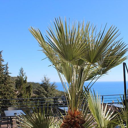 Eza Vista Lejlighedshotel Èze Eksteriør billede